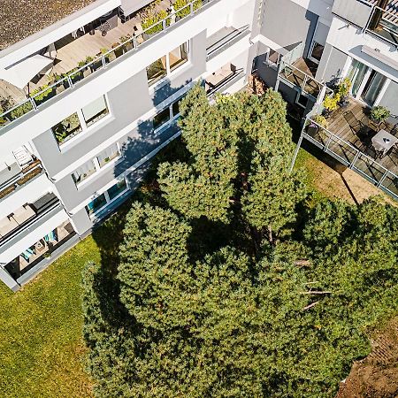Ferienwohnungen Riese - Weitblick Arnsberg Eksteriør billede